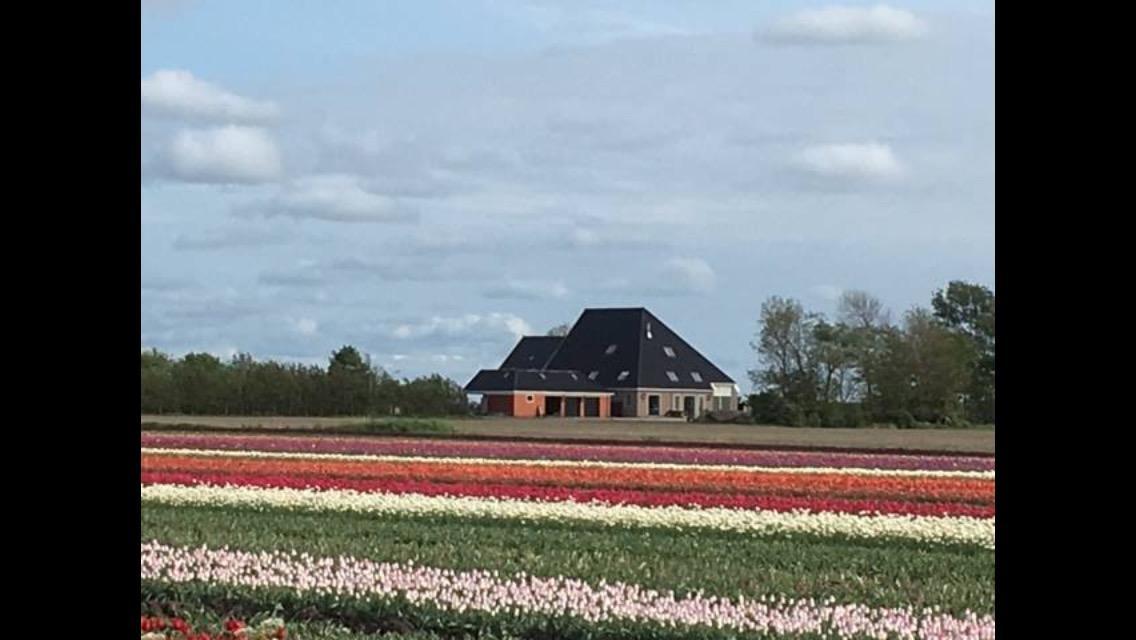 Boerderij De Waard Bed & Breakfast Anna Paulowna Exterior foto